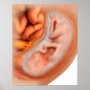 Recherche de biology posters Digitally generated image