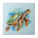 Recherche de tortue carreaux Aquarelle