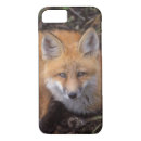 Search for vulpes vulpes iphone cases Nwr