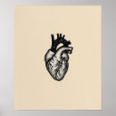 Search for anatomically art Heart