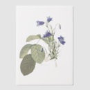 Recherche de collages français vintages invitations Floral