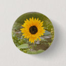 Search for sunflower summers buttons Pretty
