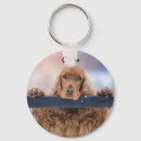 Search for fluffy dog keychains Puppy