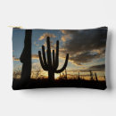 Recherche de saguaro accessoires Coucher de soleil