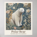 Search for polar bear posters Wildlife