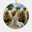 Search for baby lamb ornaments Sheep