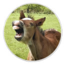 Recherche de animaux ferme de boutons et poignées de porte Drôle