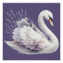 Recherche de cygnes posters Illustration de cygne