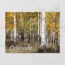 Search for aspen postcards Travel