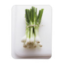 Recherche de oignon magnets Blanc