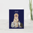 Search for pretty pet cards Cats