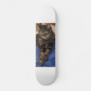 Recherche de domestique skateboards Chats