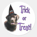 Search for chocolate lab stickers Animals