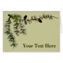 Search for larch Larix