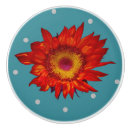 Search for sunflower knobs and pulls Ceramic
