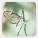 Search for macro stickers Wildlife