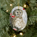 Recherche de painting ornaments Winter