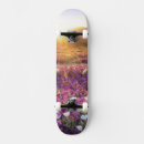 Search for desert skateboards California