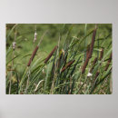 Recherche de vie verte posters Printemps