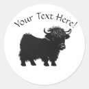 Search for highlands stickers Cute highland cow