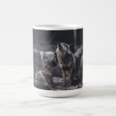 Search for wolf pack mugs Wildlife