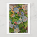Search for glories postcards Botanical