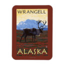 Search for wrangell magnets Lantern
