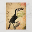 Search for vintage bird postcards French