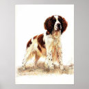 Search for springer spaniel dog posters English