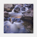 Search for creek fall magnets Stream