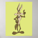 Recherche de coyote wile e posters Loney toon
