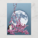 Search for plums postcards Blue