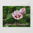 Search for geburtstag postcards Pink