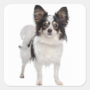 Search for papillon stickers Dog