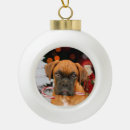 Search for boxer dog ornaments Puppies