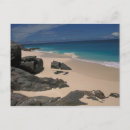 Search for fregate Beach