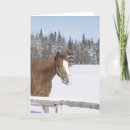 Search for equine christmas cards Winter