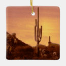 Recherche de southwest ornaments Desert