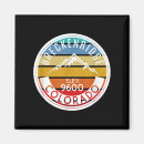 Search for dojo magnets 80s