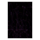 Recherche de mouvement de danse posters Pour tous