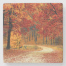 Search for path coasters Autumn