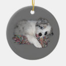 Search for puppy christmas decor blue