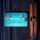Search for gull Bird
