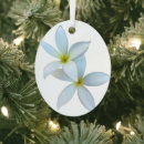 Search for plumeria ornaments Tropical