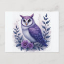 Recherche de violet clair cartes postales Lavande