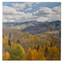 Search for fall colour tiles Aspen