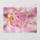 Recherche de branches cartes postales Printemps