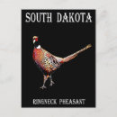 Search for pheasant postcards Dakota