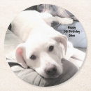 Search for couch coasters Puppy