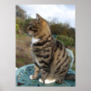 Recherche de familiers posters Pour enfants
